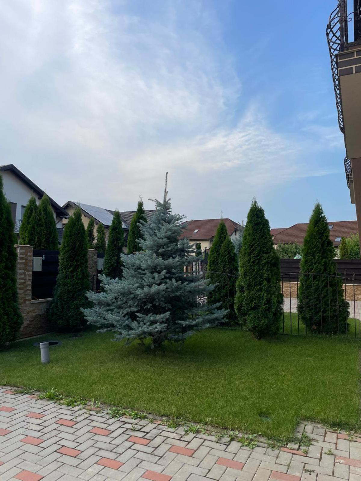 Vila Pati Плоешти Экстерьер фото